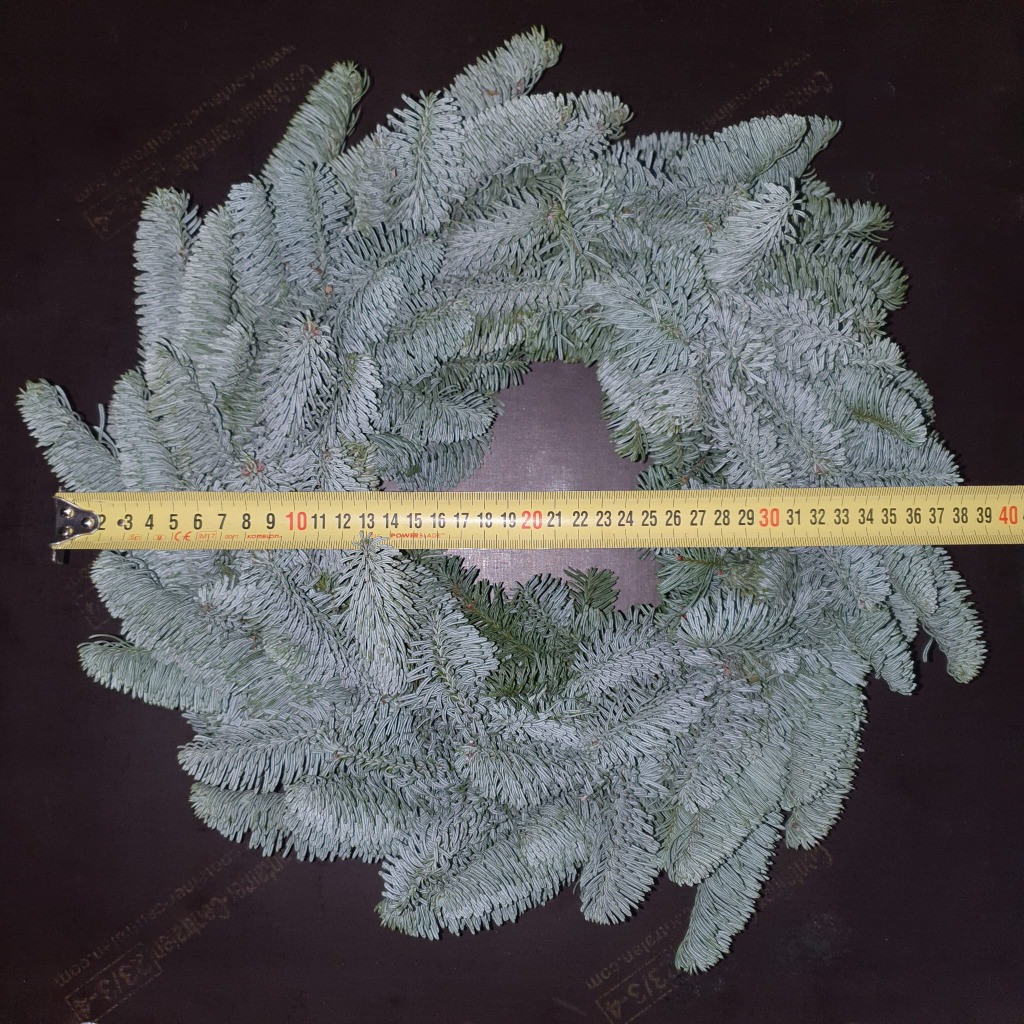 Picture of Abies nobilis 38-40/CM-WREATH-HALF