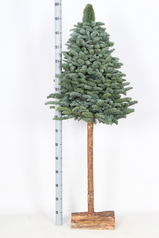 Picture of Christmas Tree On a Stick 160/+