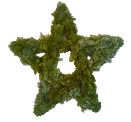 Picture of Nobilis star 60CM