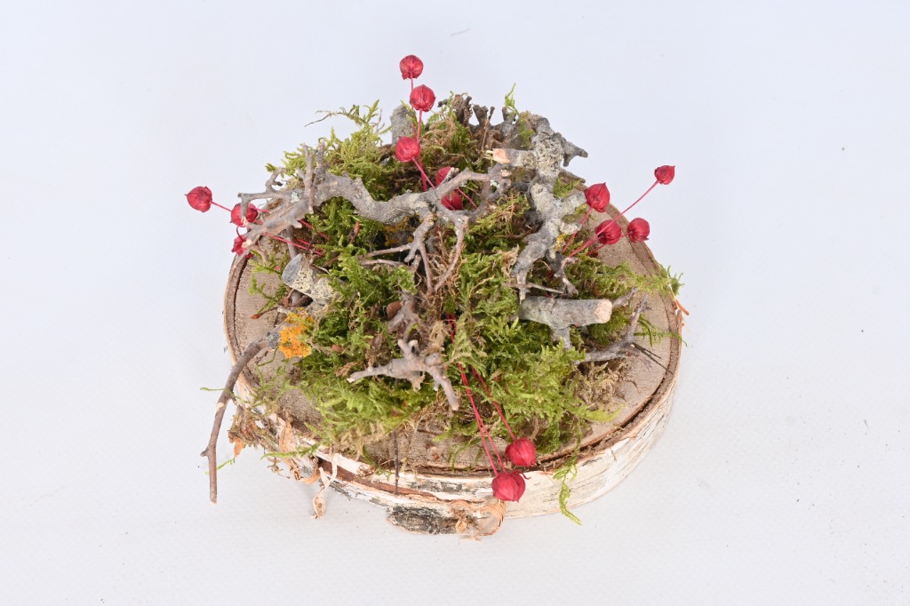 Picture of Birch decoration with moss M