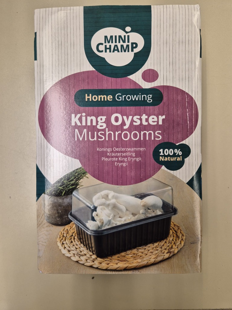 Picture of Mushrooms King Oyster P19 (3 Ltr)