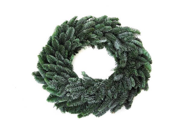 Picture of Abies nobilis 70CM/WREATH