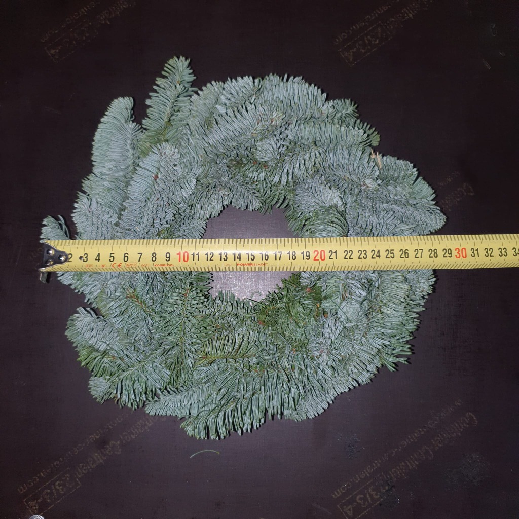 Picture of Abies nobilis 28-30/CM-WREATH-HALF