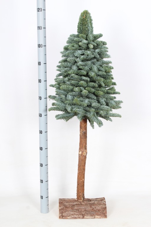 Picture of Christmas Tree On a Stick 120CM