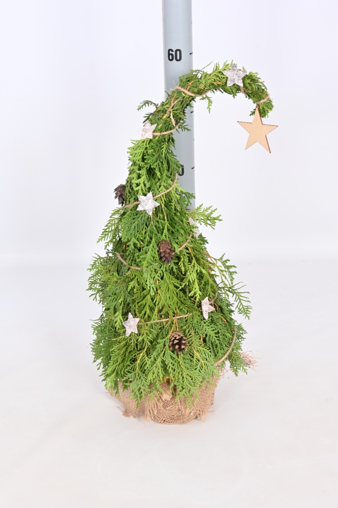 Picture of Conifer Tree with decoration 50CM