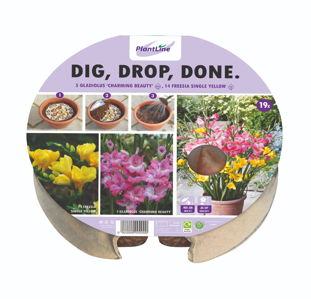 Picture of DIG, DROP, DONE TRAY Ø 24 CM W8 14-TRAY WITH 19 BULBS-IN-BOX