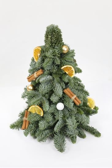 Picture of Abies nobilis mini Trees with decoration 4 (with cinnamon and orange) 40CM