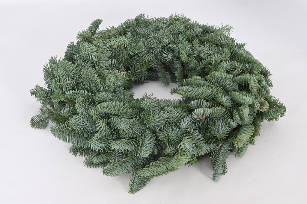 Picture of Abies nobilis 48-50/CM-WREATH-HALF